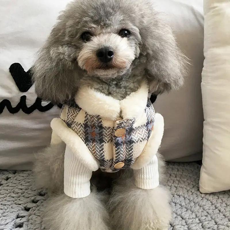 Winter pet cute cotton coat null