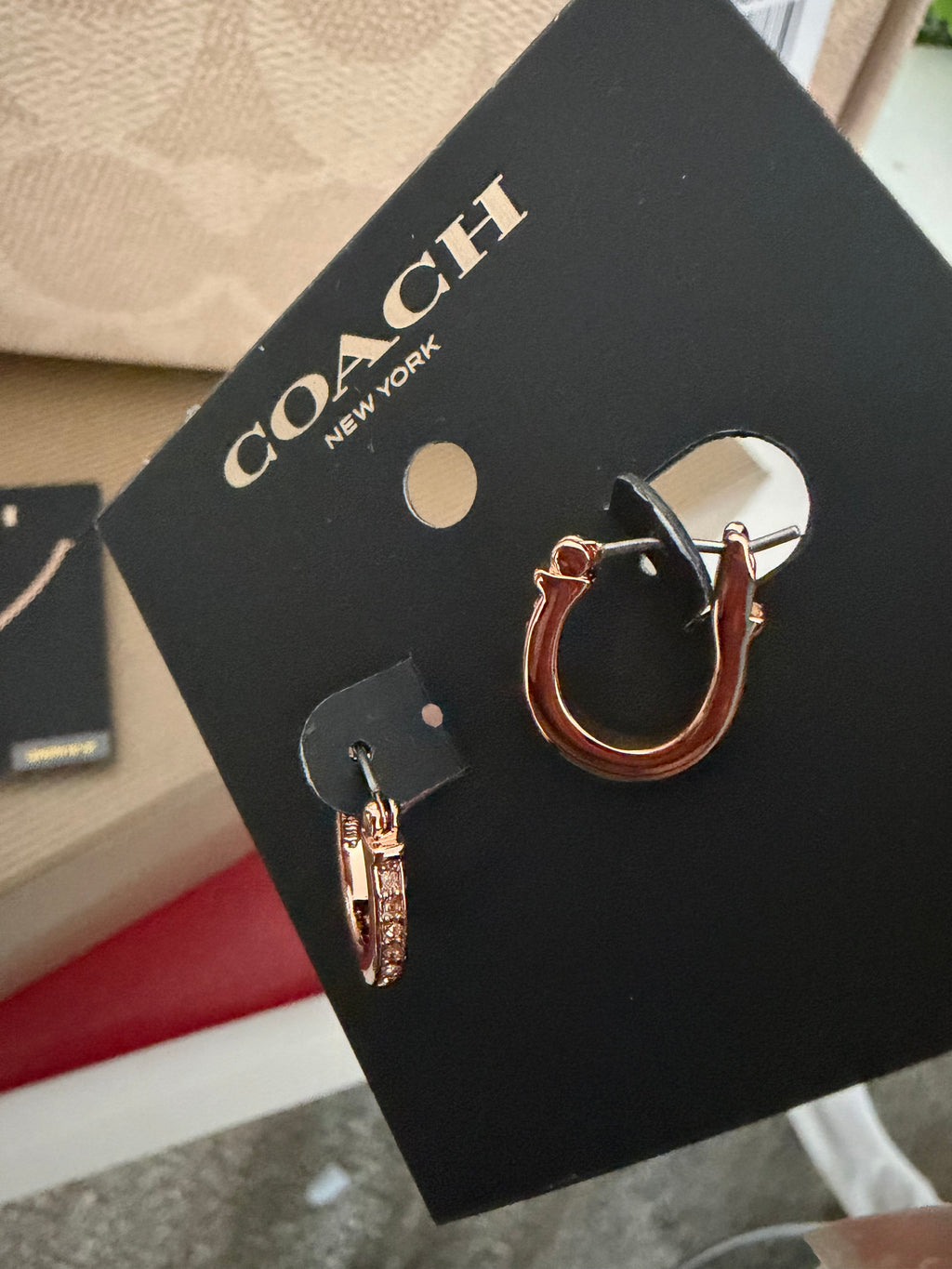 Coach beige Bag and jewelry set