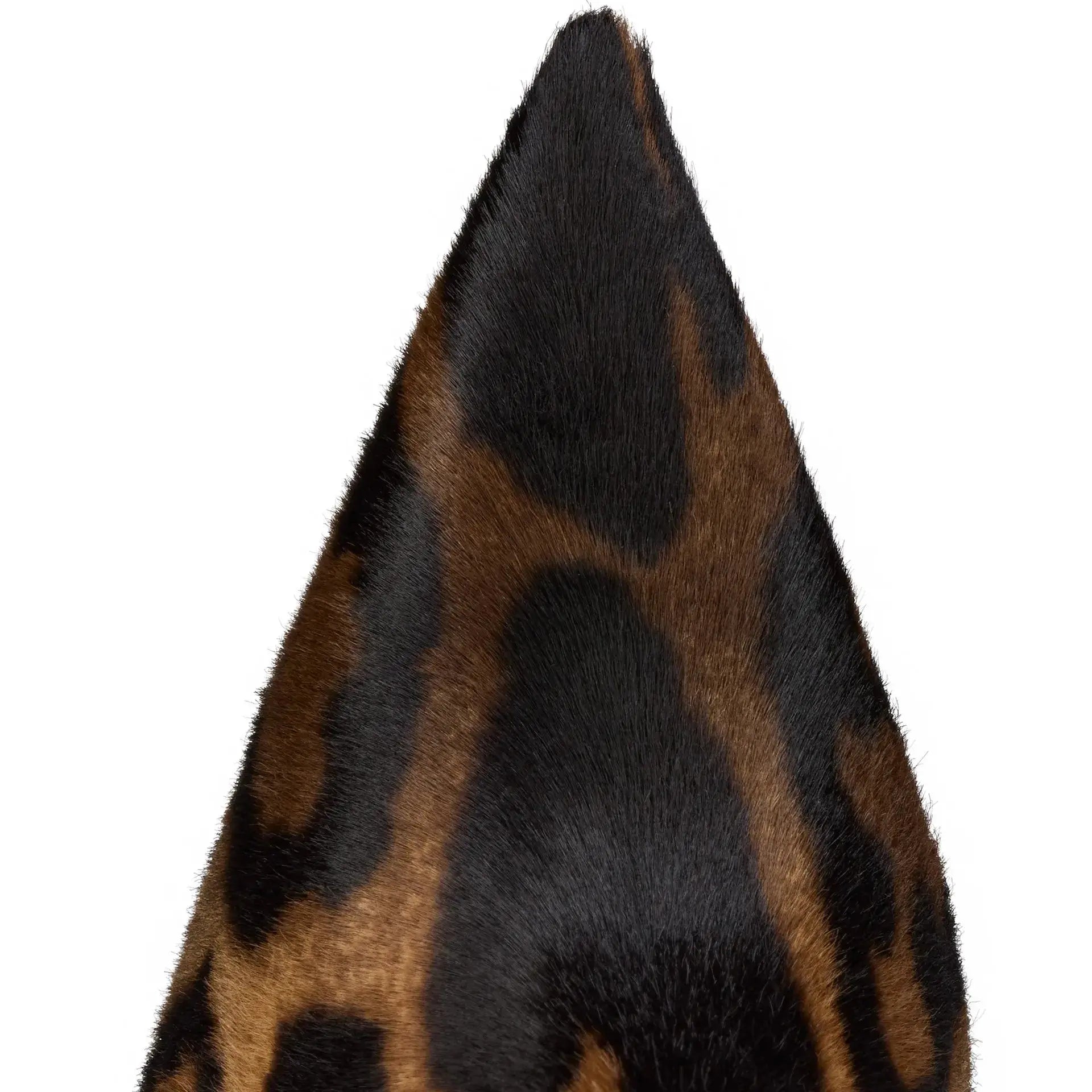 sexy suede leopardprint pointed banquetboots JNi3 shop