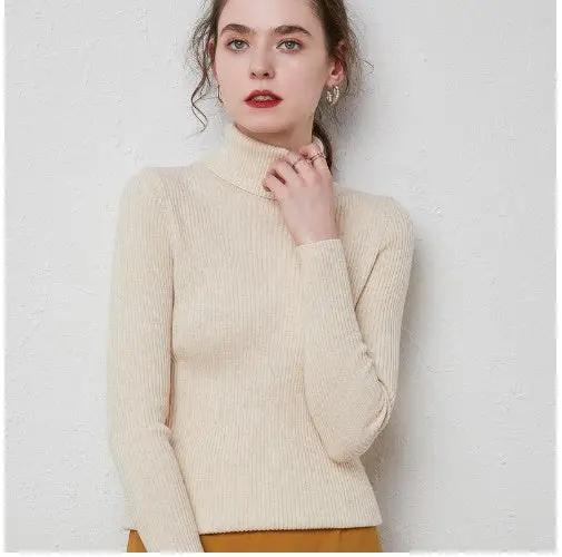 Turtleneck Sweater Women Slim Padded Inner Style Cjdropshipping