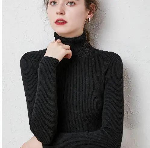 Turtleneck Sweater Women Slim Padded Inner Style Cjdropshipping
